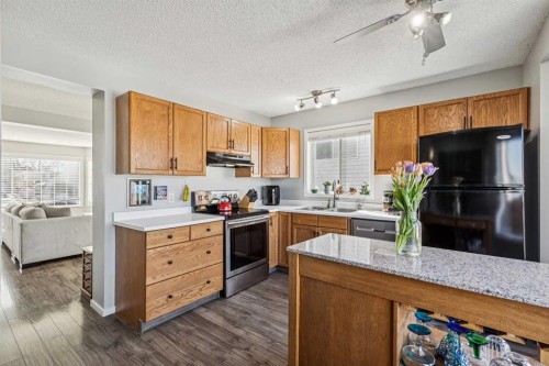 27 Rivercrest Way Se, Calgary, AB - Indoor Photo Showing Kitchen With Double Sink