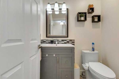 16 Saddletree Close Ne, Calgary, AB - Indoor Photo Showing Bathroom