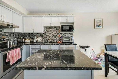 16 Saddletree Close Ne, Calgary, AB - Indoor Photo Showing Kitchen With Stainless Steel Kitchen With Upgraded Kitchen