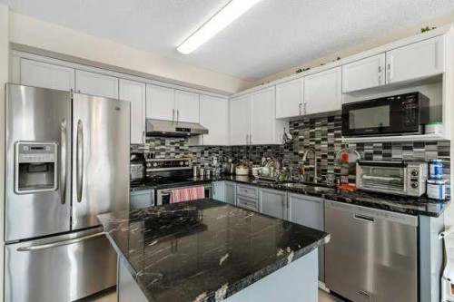 16 Saddletree Close Ne, Calgary, AB - Indoor Photo Showing Kitchen With Stainless Steel Kitchen With Upgraded Kitchen