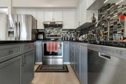 16 Saddletree Close Ne, Calgary, AB - Indoor Photo Showing Kitchen With Stainless Steel Kitchen With Upgraded Kitchen