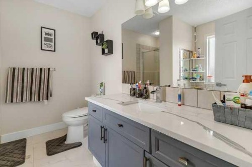 16 Saddletree Close Ne, Calgary, AB - Indoor Photo Showing Bathroom