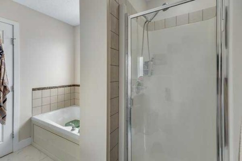 16 Saddletree Close Ne, Calgary, AB - Indoor Photo Showing Bathroom