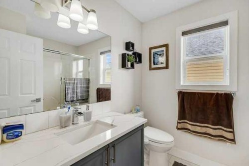 16 Saddletree Close Ne, Calgary, AB - Indoor Photo Showing Bathroom