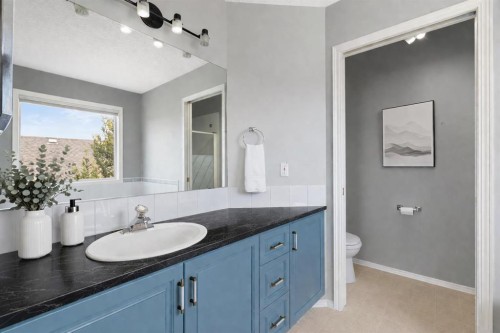 38 Bow Ridge Link Link, Cochrane, AB - Indoor Photo Showing Bathroom