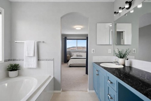 38 Bow Ridge Link Link, Cochrane, AB - Indoor Photo Showing Bathroom