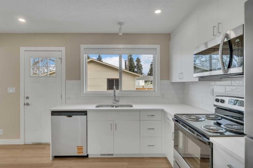 221 Madeira Crescent Ne, Calgary, AB - Indoor Photo Showing Kitchen With Double Sink