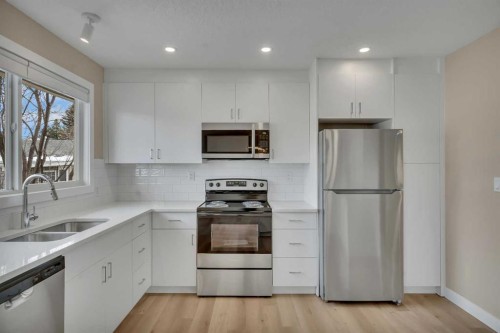 221 Madeira Crescent Ne, Calgary, AB - Indoor Photo Showing Kitchen With Double Sink
