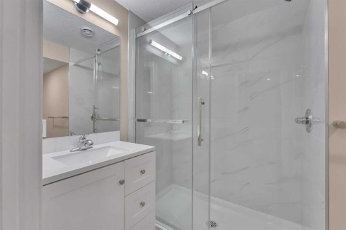 221 Madeira Crescent Ne, Calgary, AB - Indoor Photo Showing Bathroom
