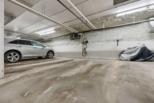 116-117 Copperpond Common Se, Calgary, AB - Indoor Photo Showing Garage