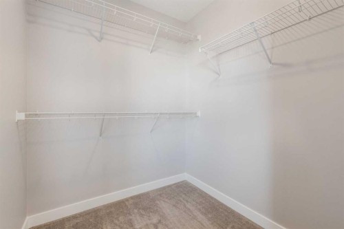 156 Walden Lane Se, Calgary, AB - Indoor With Storage
