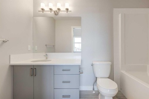 156 Walden Lane Se, Calgary, AB - Indoor Photo Showing Bathroom
