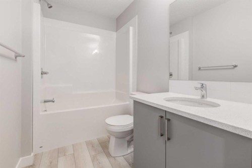 156 Walden Lane Se, Calgary, AB - Indoor Photo Showing Bathroom