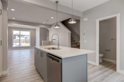 156 Walden Lane Se, Calgary, AB - Indoor Photo Showing Kitchen With Double Sink With Upgraded Kitchen