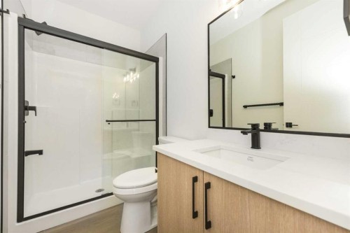 105 Waterford Passage, Chestermere, AB - Indoor Photo Showing Bathroom