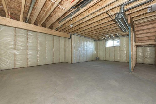 105 Waterford Passage, Chestermere, AB - Indoor Photo Showing Basement