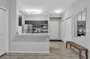 1613-4641 128 Avenue Ne, Calgary, AB  - Indoor Photo Showing Kitchen With Upgraded Kitchen 