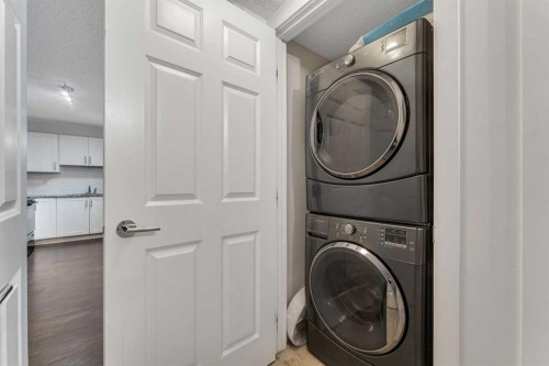 3305-755 Copperpond Boulevard, Calgary, AB - Indoor Photo Showing Laundry Room