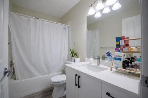 1117-1140 Taradale Drive Ne, Calgary, AB - Indoor Photo Showing Bathroom