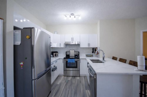 1117-1140 Taradale Drive Ne, Calgary, AB - Indoor Photo Showing Kitchen With Double Sink With Upgraded Kitchen