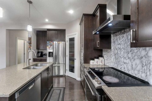 28 Saddlelake Common Ne, Calgary, AB - Indoor Photo Showing Kitchen With Double Sink With Upgraded Kitchen