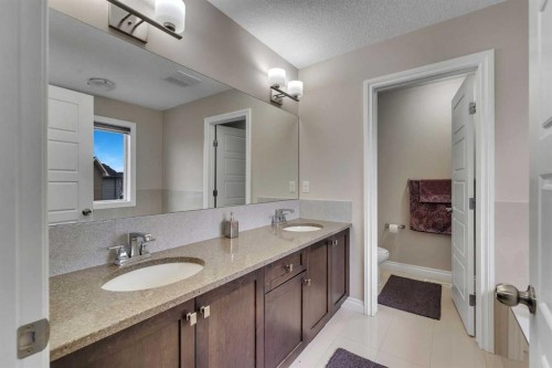 28 Saddlelake Common Ne, Calgary, AB - Indoor Photo Showing Bathroom