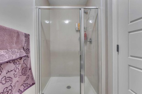 28 Saddlelake Common Ne, Calgary, AB - Indoor Photo Showing Bathroom