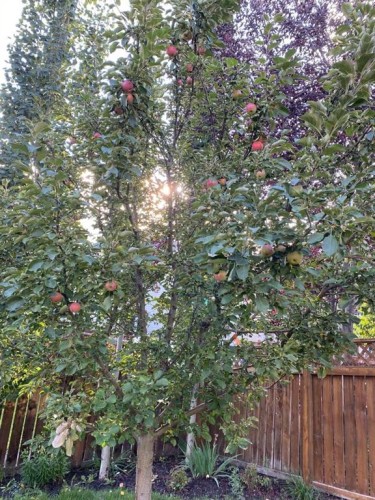 119 Valley Glen Bay Nw, Calgary, AB - Outdoor