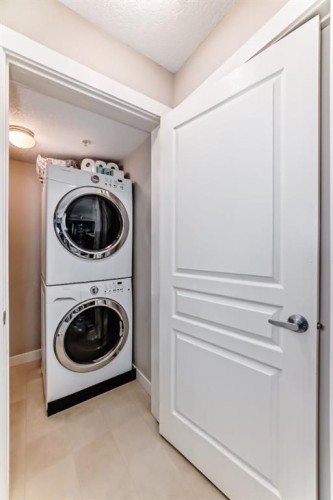 313-2300 Evanston Square Nw, Calgary, AB - Indoor Photo Showing Laundry Room