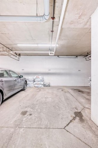 313-2300 Evanston Square Nw, Calgary, AB - Indoor Photo Showing Garage
