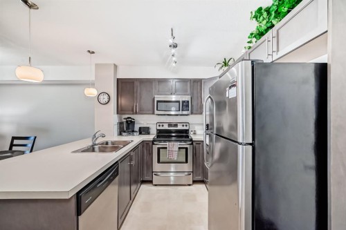 313-2300 Evanston Square Nw, Calgary, AB - Indoor Photo Showing Kitchen With Double Sink