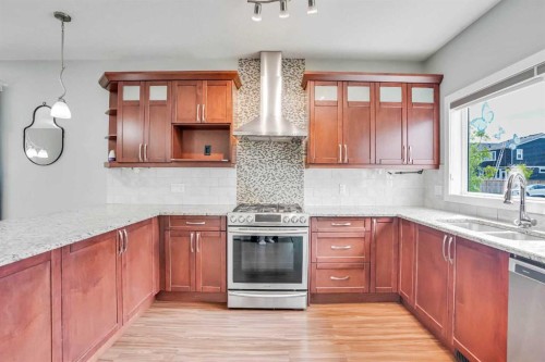 5 Red Embers Row Ne, Calgary, AB - Indoor Photo Showing Kitchen With Double Sink