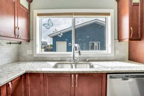 5 Red Embers Row Ne, Calgary, AB - Indoor Photo Showing Kitchen With Double Sink