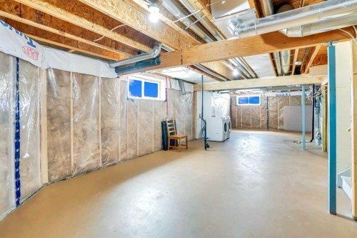 5 Red Embers Row Ne, Calgary, AB - Indoor Photo Showing Basement