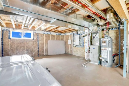 5 Red Embers Row Ne, Calgary, AB - Indoor Photo Showing Basement