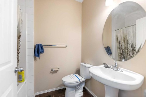 49 Skyview Ranch Boulevard Ne, Calgary, AB - Indoor Photo Showing Bathroom