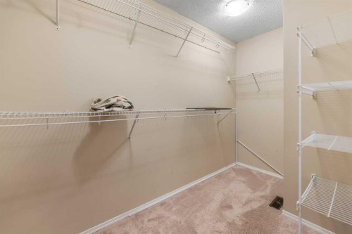 49 Skyview Ranch Boulevard Ne, Calgary, AB - Indoor With Storage