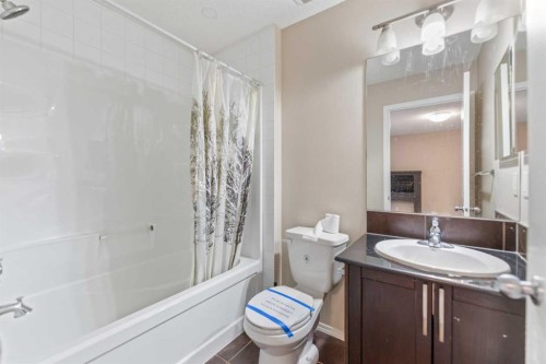 49 Skyview Ranch Boulevard Ne, Calgary, AB - Indoor Photo Showing Bathroom