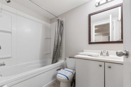 49 Skyview Ranch Boulevard Ne, Calgary, AB - Indoor Photo Showing Bathroom