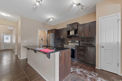 49 Skyview Ranch Boulevard Ne, Calgary, AB - Indoor Photo Showing Kitchen With Upgraded Kitchen