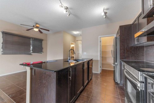 49 Skyview Ranch Boulevard Ne, Calgary, AB - Indoor Photo Showing Kitchen With Upgraded Kitchen
