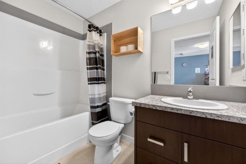 23 Belgian Link, Cochrane, AB - Indoor Photo Showing Bathroom