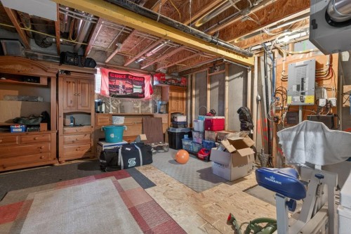 23 Belgian Link, Cochrane, AB - Indoor Photo Showing Basement