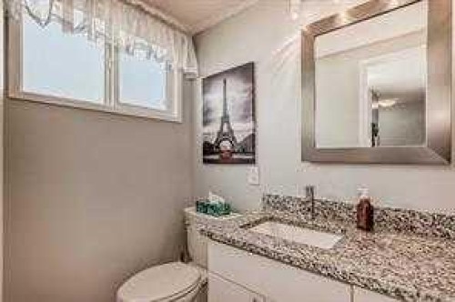 420 Whitehorn Place Ne, Calgary, AB - Indoor Photo Showing Bathroom