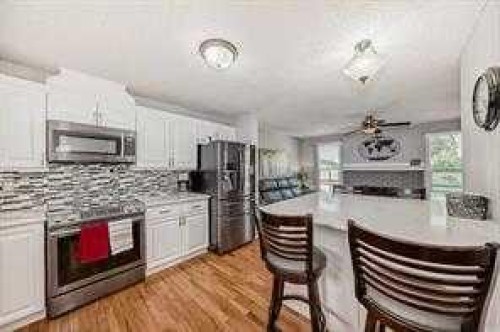 420 Whitehorn Place Ne, Calgary, AB - Indoor Photo Showing Kitchen With Stainless Steel Kitchen With Upgraded Kitchen