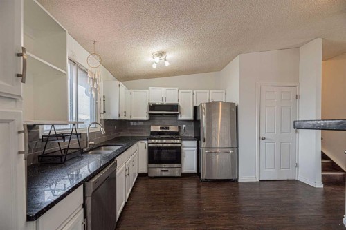 64 Castledale Crescent Ne, Calgary, AB - Indoor Photo Showing Kitchen With Stainless Steel Kitchen With Double Sink