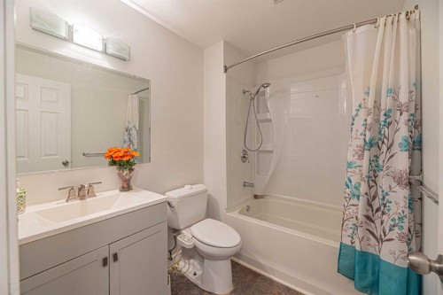 64 Castledale Crescent Ne, Calgary, AB - Indoor Photo Showing Bathroom