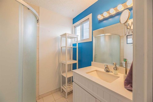 64 Castledale Crescent Ne, Calgary, AB - Indoor Photo Showing Bathroom