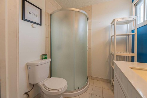 64 Castledale Crescent Ne, Calgary, AB - Indoor Photo Showing Bathroom