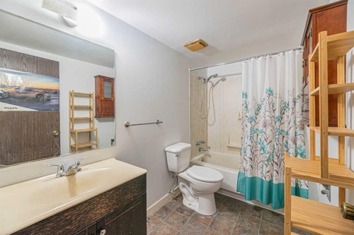 64 Castledale Crescent Ne, Calgary, AB - Indoor Photo Showing Bathroom